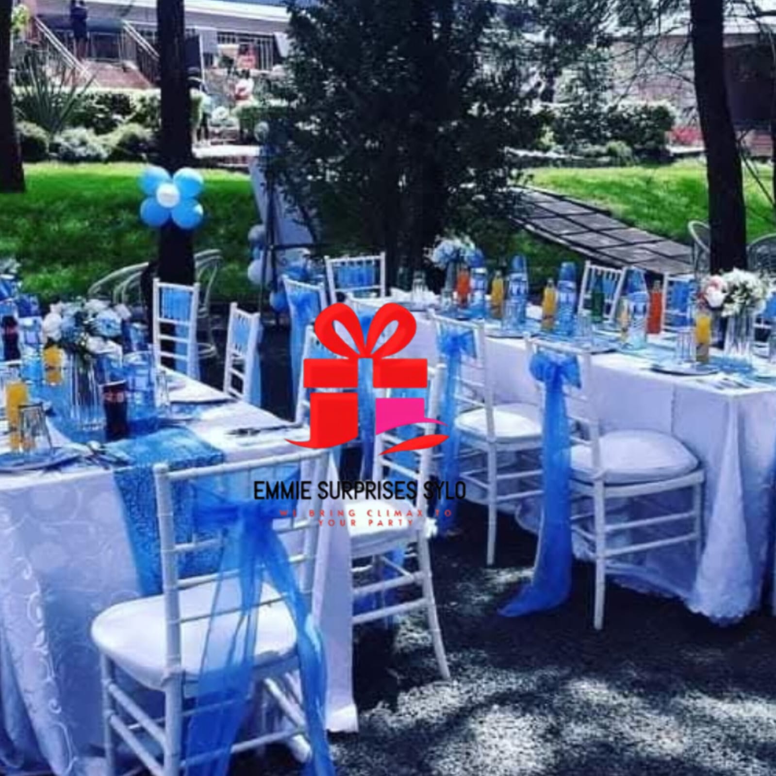 Wedding Surprise